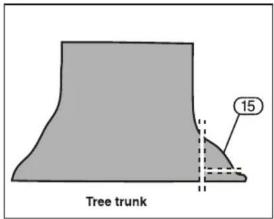 Tree trunk 15