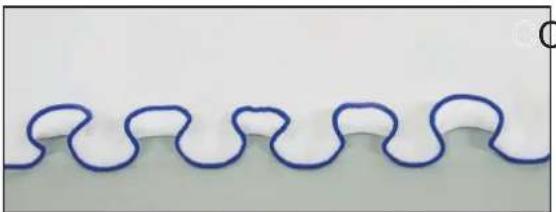 Close-up of a wavy blue line with rounded ends on a white background (no text or symbols)