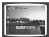 SAMSUNG MAX-KJ630 - Playing DVD-OK Discs - 2