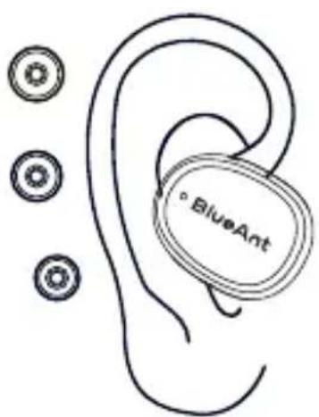 BlueAnt