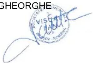 GHEORGHE VIS GAT RHOV ROMAN