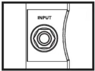 INPUT