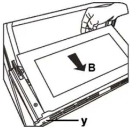 B y