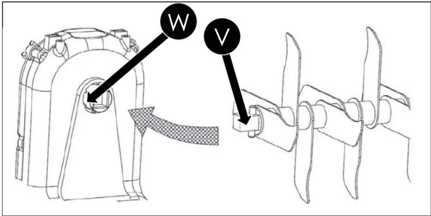 W V