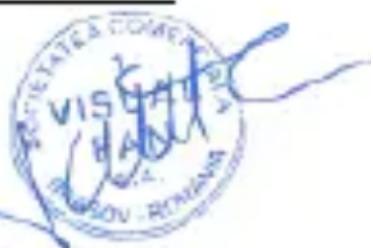VISHI CHANG HONGXIN YUANAN