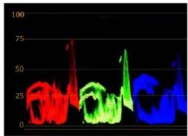 OSEE LCM215-HDR - ■ Waveform Display Mode - 2