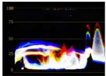 OSEE LCM215-HDR - ■ Waveform Display Mode - 3