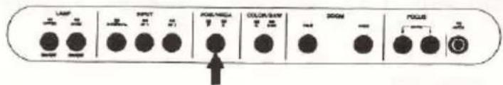 LAMP INPUT PUM/ANILA COLOR/RAW DRUM POCUS