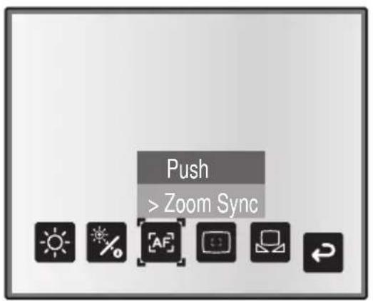 Push > Zoom Sync