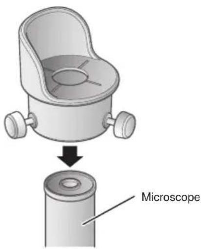 Microscope