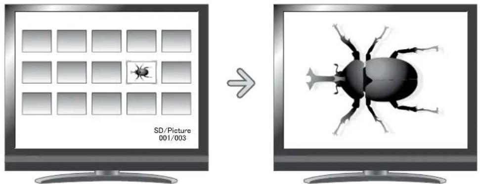 SD/Picture 001/003