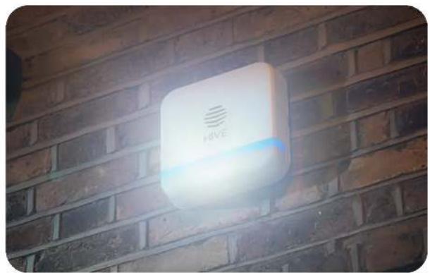 Hive Siren - Siren Light - 1
