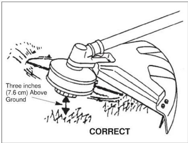 Three inches (7.6 cm) Above Ground CORRECT