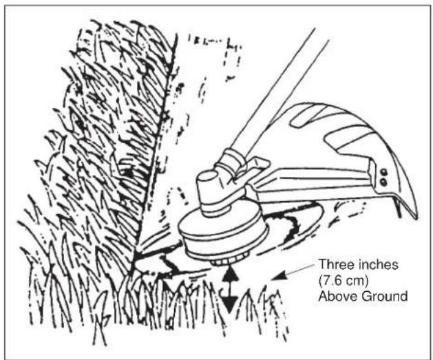 Three inches (7.6 cm) Above Ground