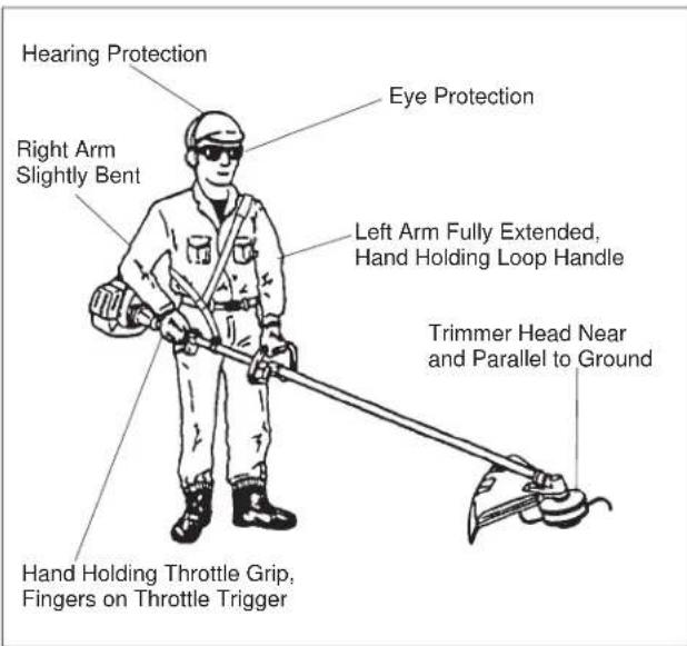 Hearing Protection Right Arm Slightly Bent Eye Protection Left Arm Fully Extended, Hand Holding Loop Handle Trimmer Head Near and Parallel to Ground Hand Holding Throttle Grip, Fingers on Throttle Trigger
