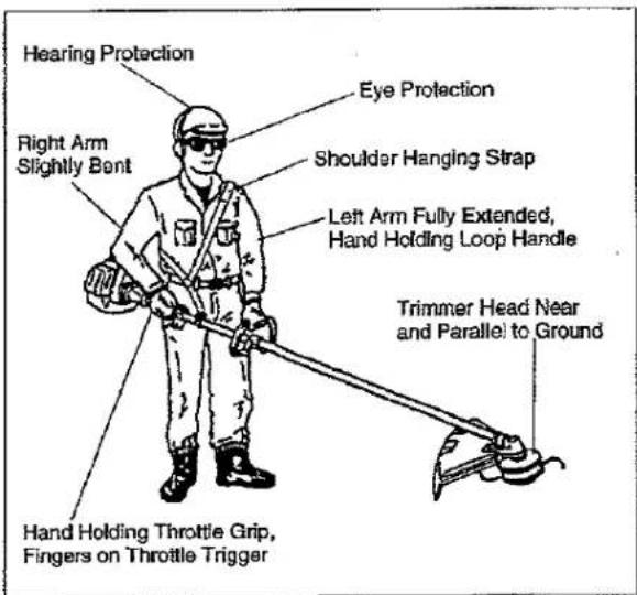 Hearing Protection Right Arm Slightly Bent Eye Protection Shoulder Hanging Strap Left Arm Fully Extended, Hand Holding Loop Handle Trimmer Head Near and Parallel to Ground Hand Holding Throttle Grip, Fingers on Throttle Trigger
