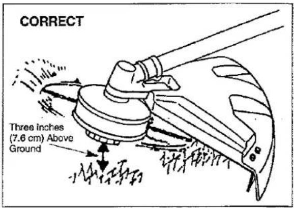 CORRECT Three inches (7.6 cm) Above Ground