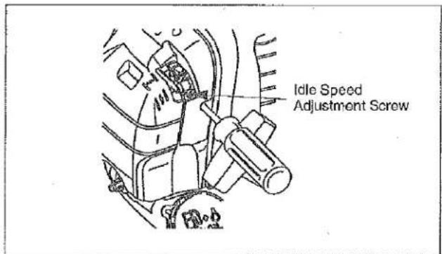Idle Speed Adjustment Screw