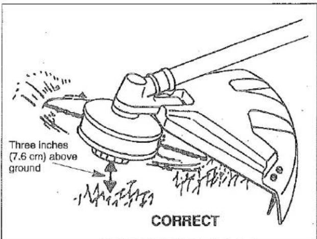 Three Inches (7.6 cm) above ground CORRECT
