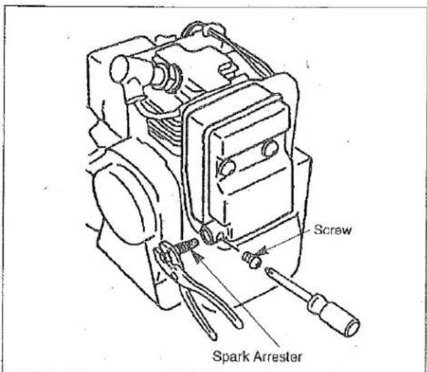 Screw Spark Arrester