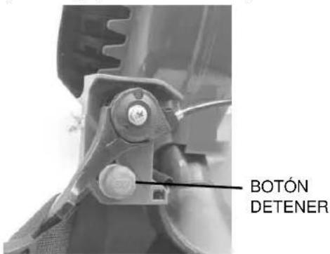 BOTÓN DETENER