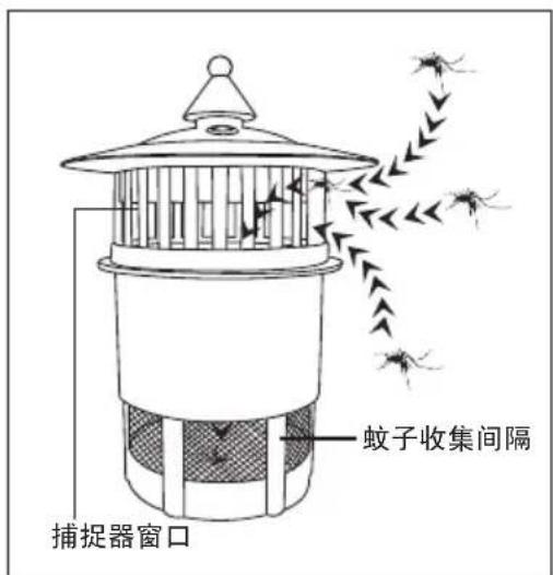蚊子收集间隔 捕捉器窗口