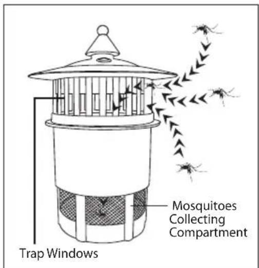 Trap Windows Mosquitoes Collecting Compartment