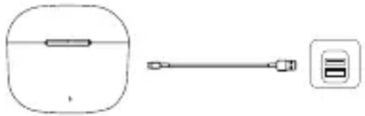 Orava Livebass Mini W - Charging - 1