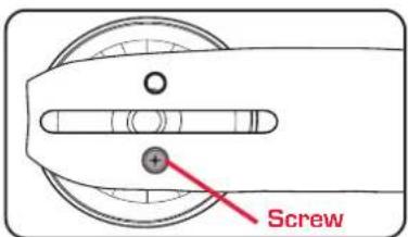 Screw