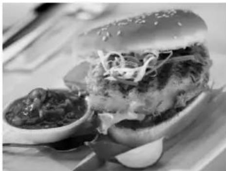 GEORGE FOREMAN 25041 - SANTA FÉ VEGGIE-BURGER serves 4 - 1