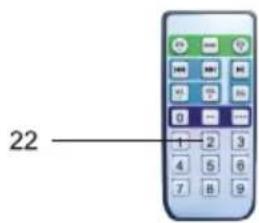 22