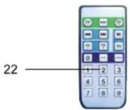 22