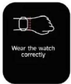 Wear the watch correctly