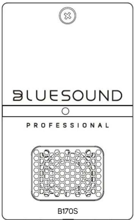 BLUESOUND PROFESSIONAL B170S
