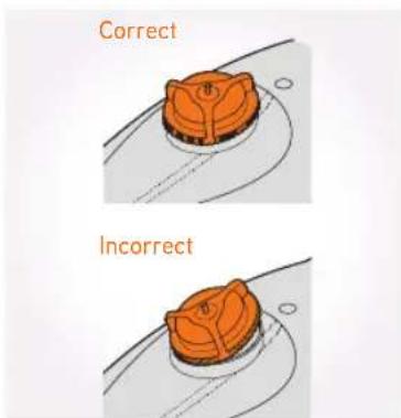 Correct Incorrect