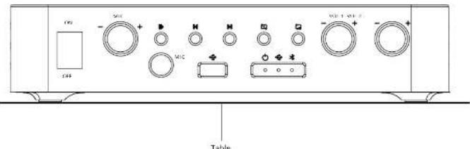 SNC SNC MIC MIC MIC + - + - + - + - + - + - Table