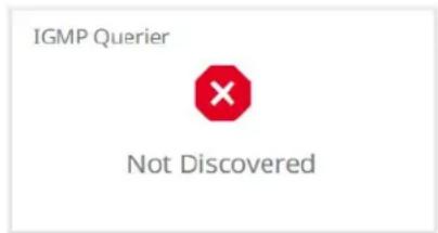 IGMP Querier × Not Discovered