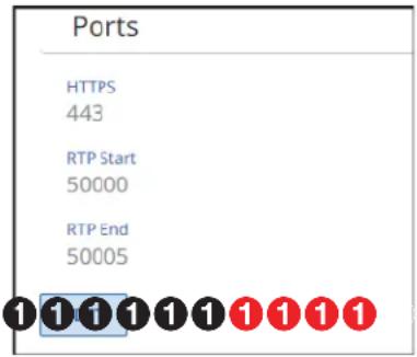 Ports HTTPS 443 RTP Start 50000 RTP End 50005 1 1 1 1 1 1 1 1 1 1 1