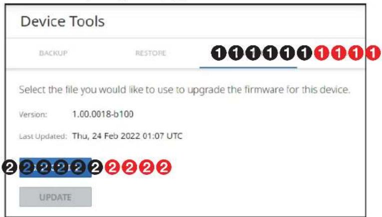 Device Tools BACKUP RESTORE 11111111111 Select the file you would like to use to upgrade the firmware for this device. Version: 1.00.0018-b100 Last Updated: Thu, 24 Feb 2022 01:07 UTC 222222222222 UPDATE