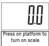Taylor 5283423 - START-UP THE SCALE - 2