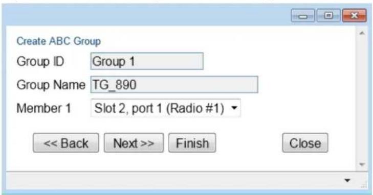 Create ABC Group Group ID Group 1 Group Name TG_890 Member 1 Slot 2, port 1 (Radio #1) << Back Next >> Finish Close