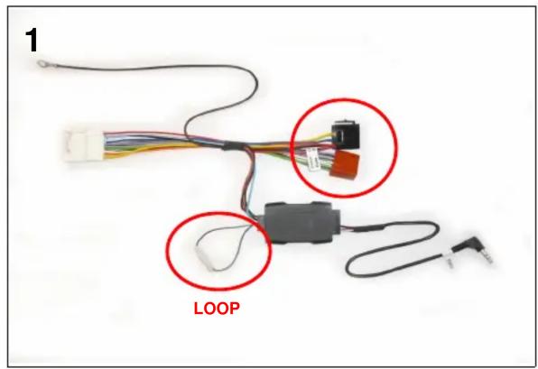 1 LOOP