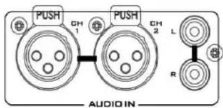 PUSH CH 1 PUSH CH 2 L R AUDIO IN