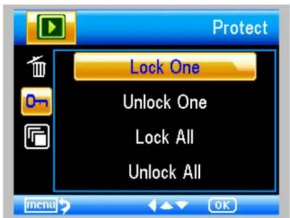 Protect Lock One Unlock One Lock All Unlock All