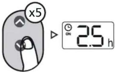 x5 2.5 h