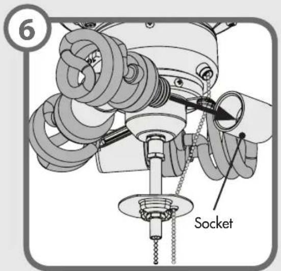6 Socket