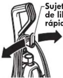 Sujet de lili rápico