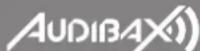 Audibax Zone 360 BT - LEA LAS SIGUIENTES INSTRUCCIONES POR SU PROPIA SEGURIDAD - 1