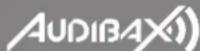 Audibax Zone 120 BT - READ FOLLOWINGINSTRUCTIONS FOR YOUR OWN SAFETY - 1