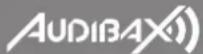 Audibax Zone 120 BT - WASTE ELECTRICAL AND ELECTRONIC EQUIPMENT(WEEE) - 3